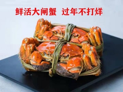 中秋鲜活精品大闸蟹礼盒装全国空运包邮过年不打烊品质保证3699型图2