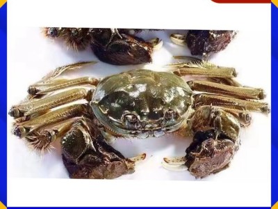 阳澄湖大闸蟹 母3两公4两*5对 储藏冷冻 鲜活直达 荷泉蟹庄图5