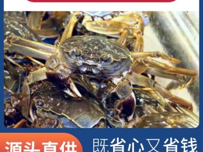 阳澄湖大闸蟹 母3两公4两*5对 储藏冷冻 鲜活直达 荷泉蟹庄图4