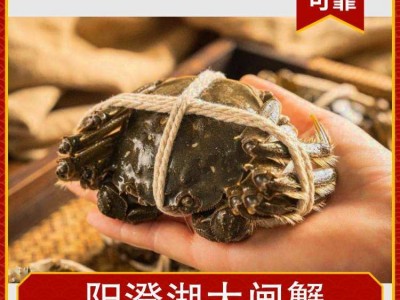 阳澄湖大闸蟹 母3两公4两*5对 储藏冷冻 鲜活直达 荷泉蟹庄图1