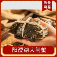 阳澄湖大闸蟹 母3两公4两*5对 储藏冷冻 鲜活直达 荷泉蟹庄