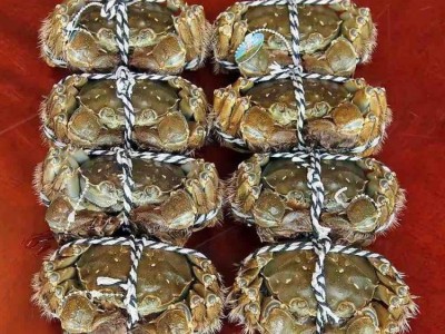 淡水产品 特大 精品阳澄湖大闸蟹 全国空运包邮 母3两公4两*5对图2