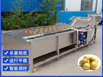 果蔬气泡清洗机 水果蔬菜清洗设备 全自动大型商用全自动洗菜机器图4