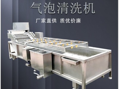 厂家定制小型果蔬气泡清洗机 预制菜中央厨房清洗设备 中药清洗机图2