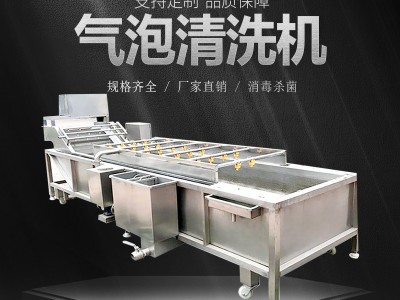 中药材气泡清洗机净菜加工设备水果蔬菜辣椒清洗 万能气泡清洗机图2