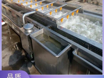 葡萄蓝莓气泡清洗机 糯玉米深加工流水线 橘子高压喷淋清洗设备图4