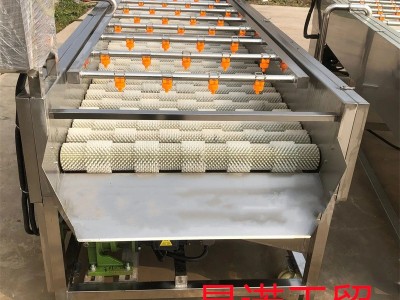柚子毛辊清洗去杂机 马铃薯清洗去皮设备 洋芋平行清洗生产线图2