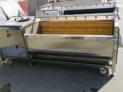 南瓜土豆滚动式毛辊清洗机 甘蔗去泥沙去灰尘清洗设备 昌诺工贸图3