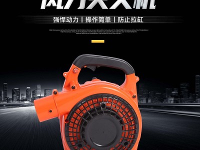 厂家直供风力灭火机大功率风力冲程背负式大棚吹雪除尘风机灭火器图4