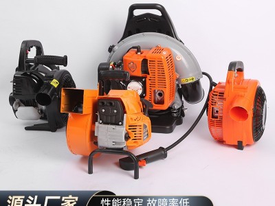 厂家直供风力灭火机大功率风力冲程背负式大棚吹雪除尘风机灭火器图3