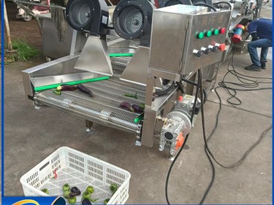景辉牌 食品包装袋风干机 果蔬清洗风干线 常温风沥水干燥机图5