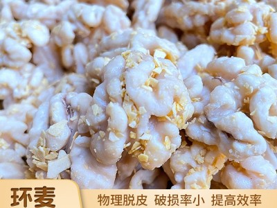 中小型核桃仁去皮机 核桃仁加工去内皮设备 不锈钢滚筒去皮清洗机图2