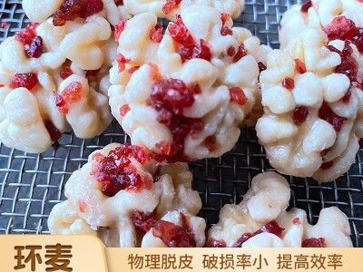 中小型核桃仁去皮机 核桃仁加工去内皮设备 不锈钢滚筒去皮清洗机图4