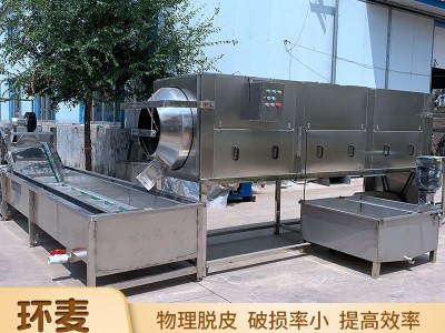 物理摩擦核桃仁去皮机 免浸泡核仁脱皮机 坚果核桃仁加工设备图3
