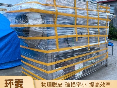 物理摩擦核桃仁去皮机 免浸泡核仁脱皮机 坚果核桃仁加工设备图4