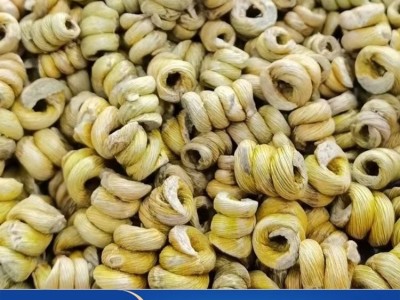 石斛厂家 五年种植霍 山米斛 散装铁皮枫斗鲜条自产自销 欢迎选购图4