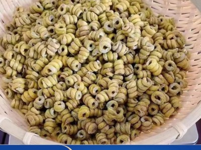 石斛厂家 五年种植霍 山米斛 散装铁皮枫斗鲜条自产自销 欢迎选购图1