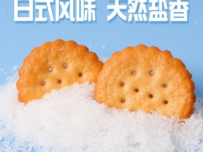 阿婆家的日式海盐小圆饼干网红小零食厂家批发整箱休闲早餐饼图4