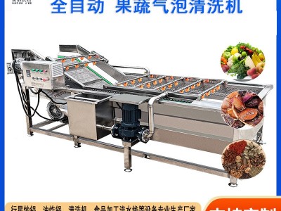 酱菜咸菜加工设备咸菜脱盐机 山野菜加工流水线 泡菜裙带菜清洗机图3