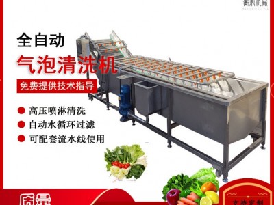 葡萄千禧果气泡清洗机 柿子李子樱桃全自动清洗设备 果蔬 清洗机图5