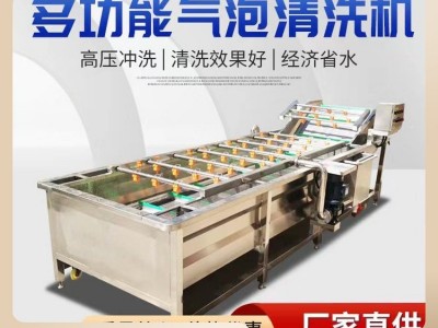 葡萄千禧果气泡清洗机 柿子李子樱桃全自动清洗设备 果蔬 清洗机图2