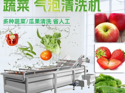 商用气泡清洗机 食堂净菜加工成套设备 全自动果蔬喷淋式清洗机图3