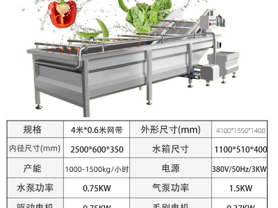 商用气泡清洗机 食堂净菜加工成套设备 全自动果蔬喷淋式清洗机图5