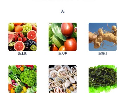 商用气泡清洗机 食堂净菜加工成套设备 全自动果蔬喷淋式清洗机图4