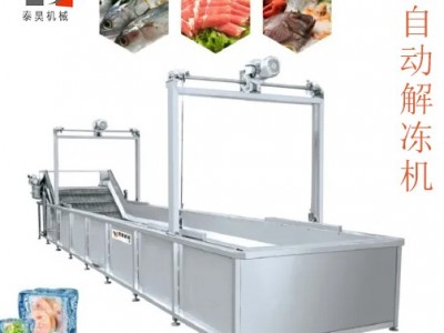 冻品解冻机 冻肉水浴式解冻流水线 带鱼全自动解冻设备 厂家直供图3