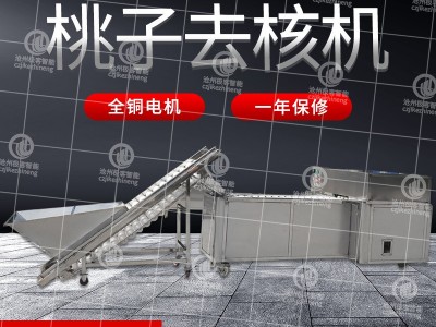 大型桃果肉分离机 桃子去核切瓣机 可定制加工图3