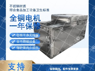 厂家主推樱桃去核机 樱珠果肉分离机 供应荆桃加工生产线图4