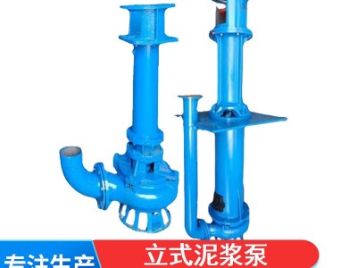 立式泥浆泵 YZ液下渣浆抽沙泥浆泵排污清淤杂质泵高铬合金矿用泵图3