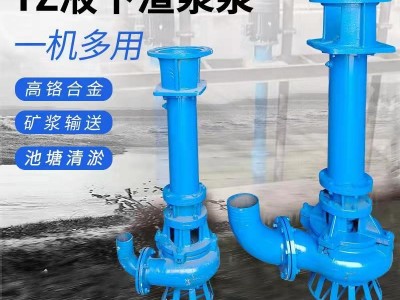 立式泥浆泵 YZ液下渣浆抽沙泥浆泵排污清淤杂质泵高铬合金矿用泵图5