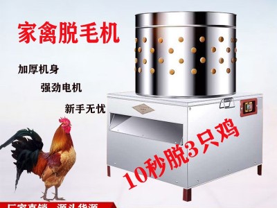 全自动拔毛机家禽脱毛机 直供立式脱毛机去毛机 鸡鸭鹅脱 毛机设备图5