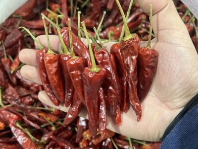 正宗福建辣椒王 香辣耐煮特辣干辣椒 卤味专用图2