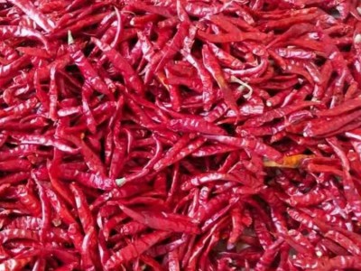 味之源常年供应薄皮干辣椒 农副产品批 发欢迎来电图2