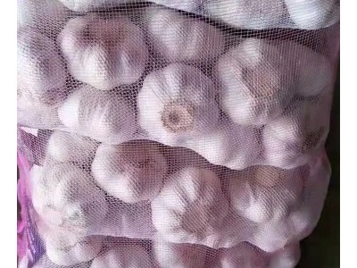 丰德利新鲜有机大蒜 颗粒饱满 水分充足 可大量采购图5