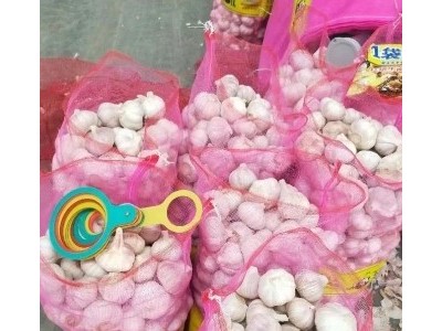 丰德利新鲜有机大蒜 颗粒饱满 水分充足 可大量采购图3