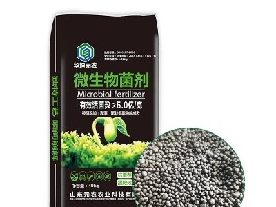 微生物菌剂 生根壮苗 枯草芽孢杆菌 生物有机肥图4
