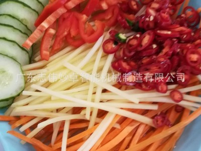 志伟妙卓多功能切菜机 厂家直销ZW-801C全自动切菜机，双头切菜机图4