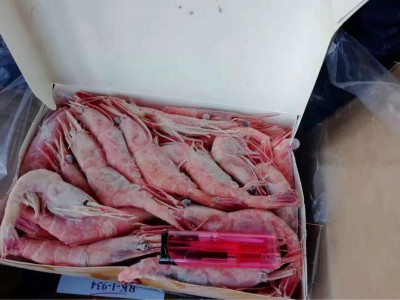 俄罗斯超低温甜虾，寿司虾，刺身日本料理图4