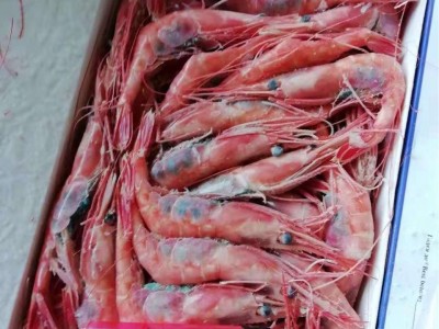 俄罗斯超低温甜虾，寿司虾，刺身日本料理图3