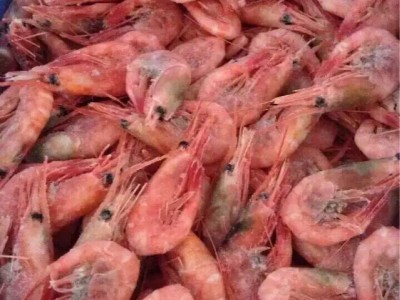 俄罗斯北极虾，马加丹北极甜虾图4