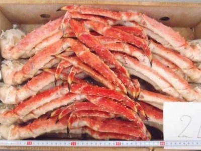 俄罗斯帝王蟹腿，腿肉图2