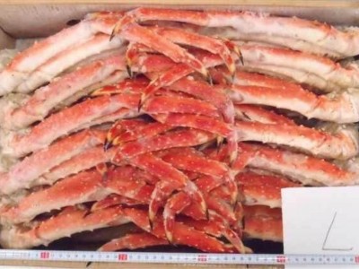 俄罗斯帝王蟹腿，腿肉图5