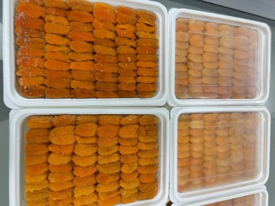 大连马粪海胆紫海胆 100g/盒 新鲜活剥冷冻海胆肉 日料料理图3
