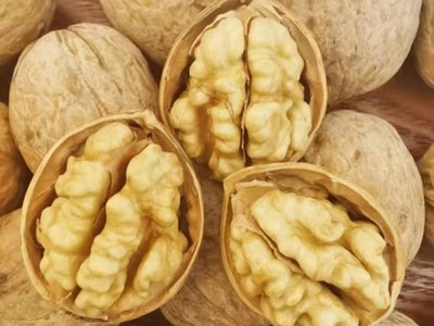 新疆185纸皮核桃批发500g 新货手剥大核桃坚果零食特产薄皮生核桃图2