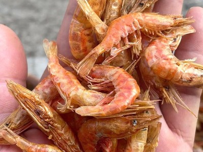 河虾干货淡水虾干餐饮食材水产干货特色下饭菜小鱼虾米批发摆地摊图4