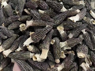 羊肚菌干货特产批发5-8头小个羊肚菌菇炖煲汤 云南野生羊肚菌批发图2