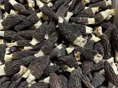 云南深山头茬大号羊肚菌干货 剪柄细纹特产食用菌菇类煲汤料滋补图3